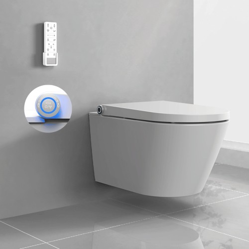 WC suspendu sans bride 